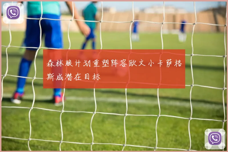 森林狼计划重塑阵容欧文小卡萨格斯成潜在目标