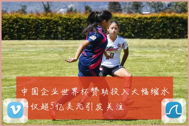 中国企业世界杯赞助投入大幅缩水64仅超5亿美元引发关注