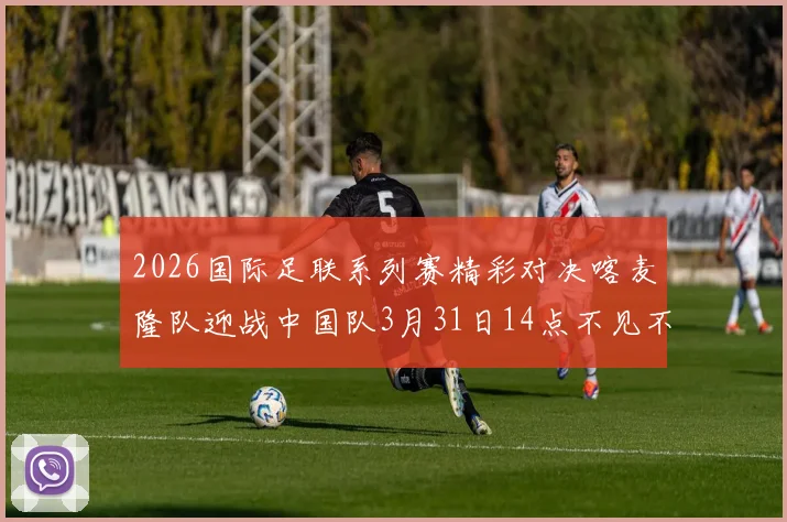 2026国际足联系列赛精彩对决喀麦隆队迎战中国队3月31日14点不见不散